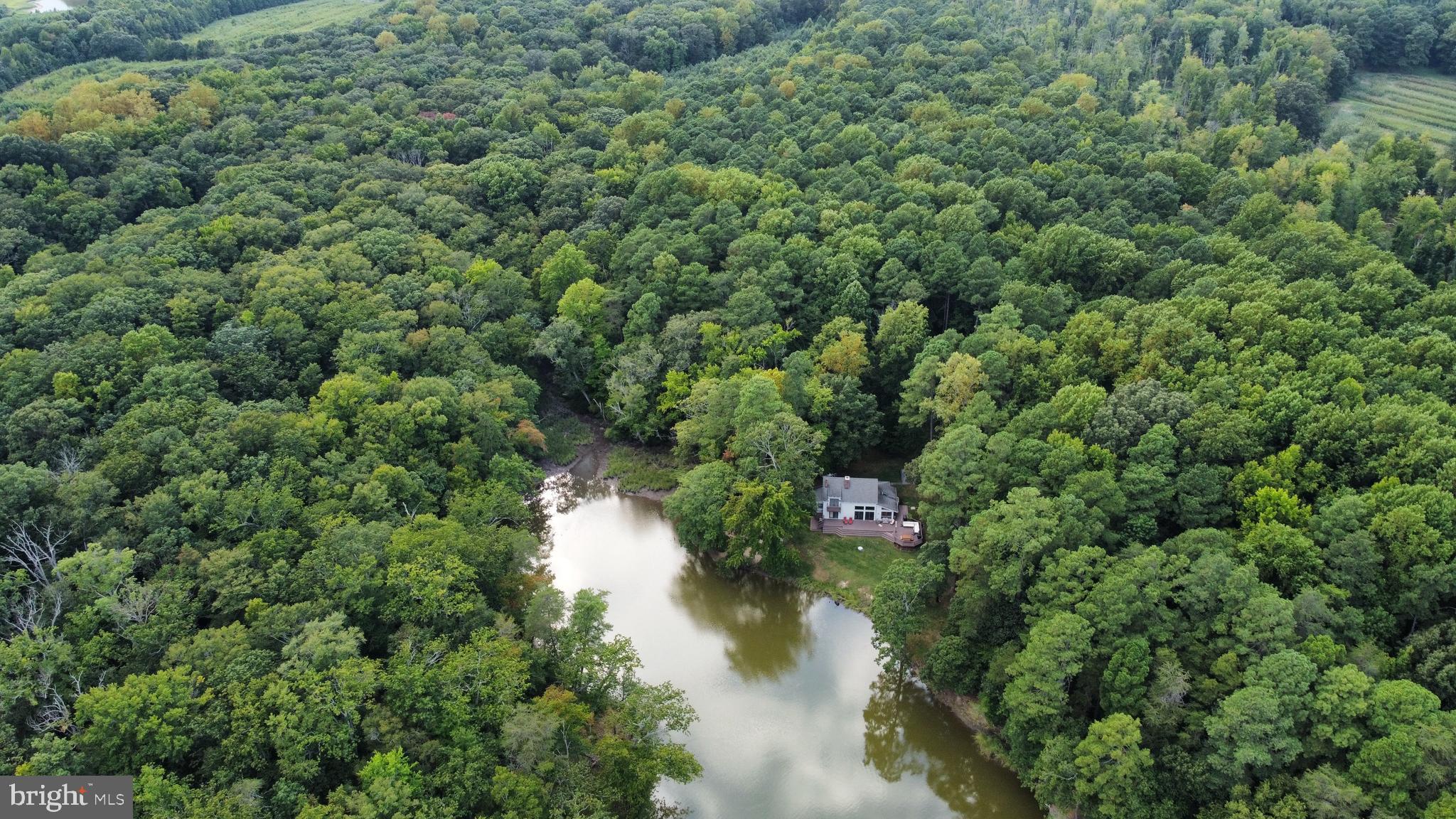 PRESQUILE - Residential