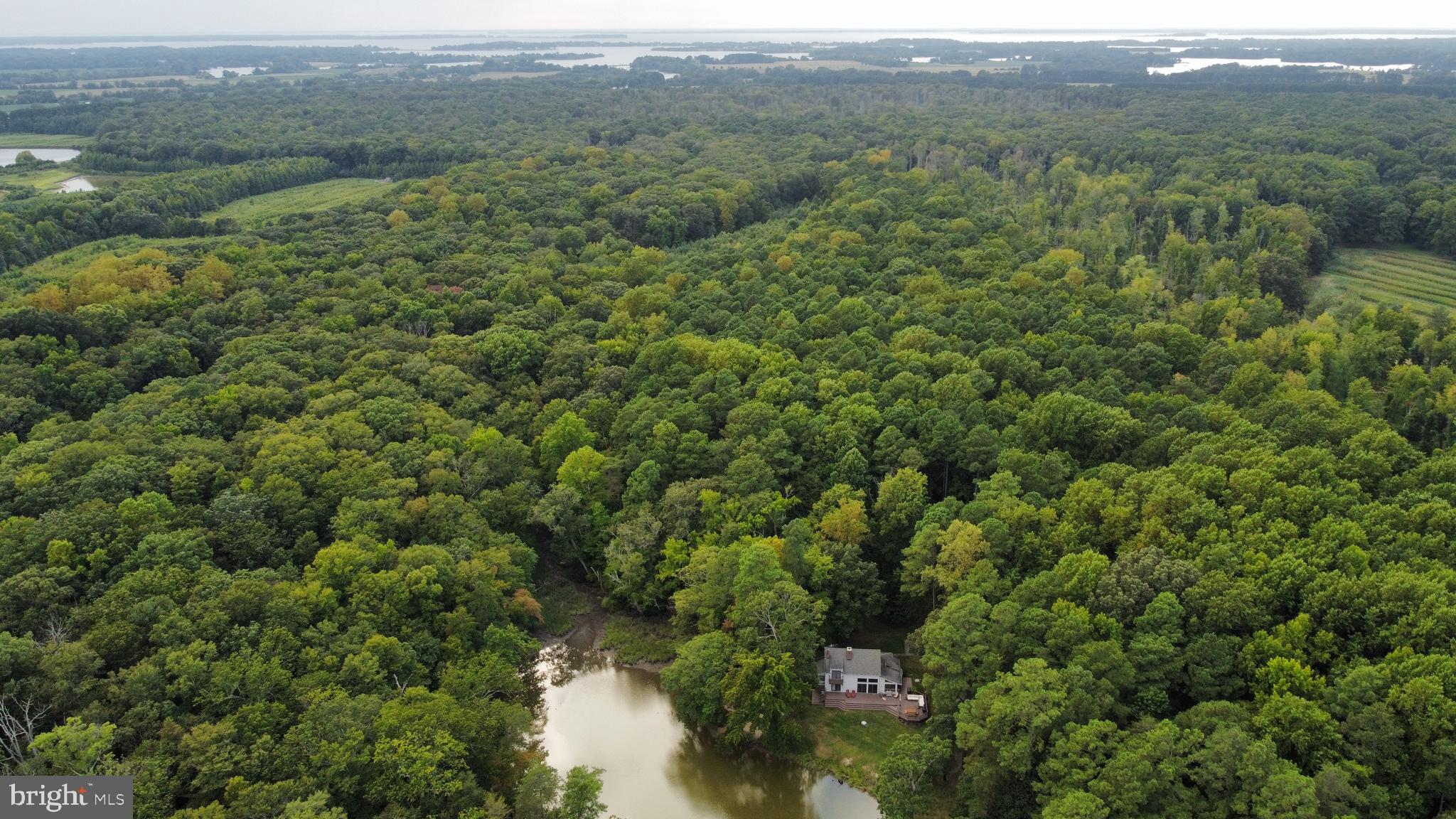 PRESQUILE - Residential