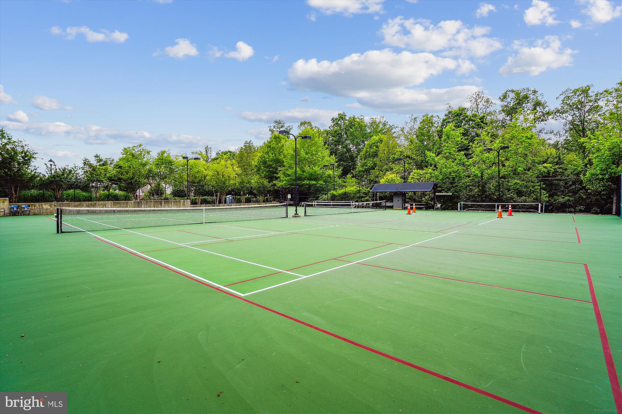 CELEBRATE VIRGINIA NORTH - Residential