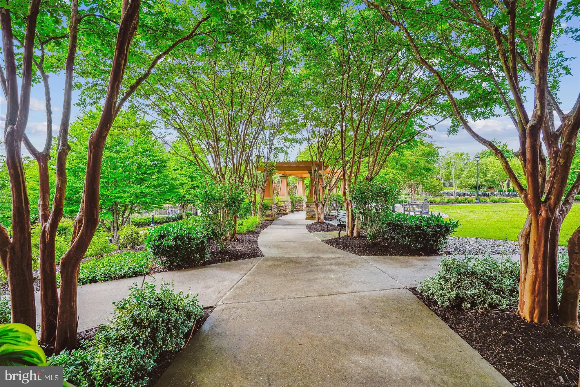 CELEBRATE VIRGINIA NORTH - Residential