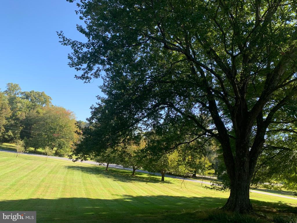 POTOMAC OUTSIDE - Residential