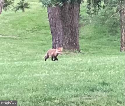 ELK RUN ESTATES - Residential