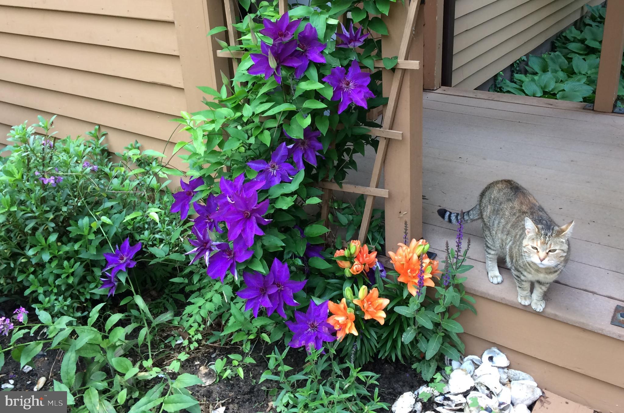 ELK RUN ESTATES - Residential