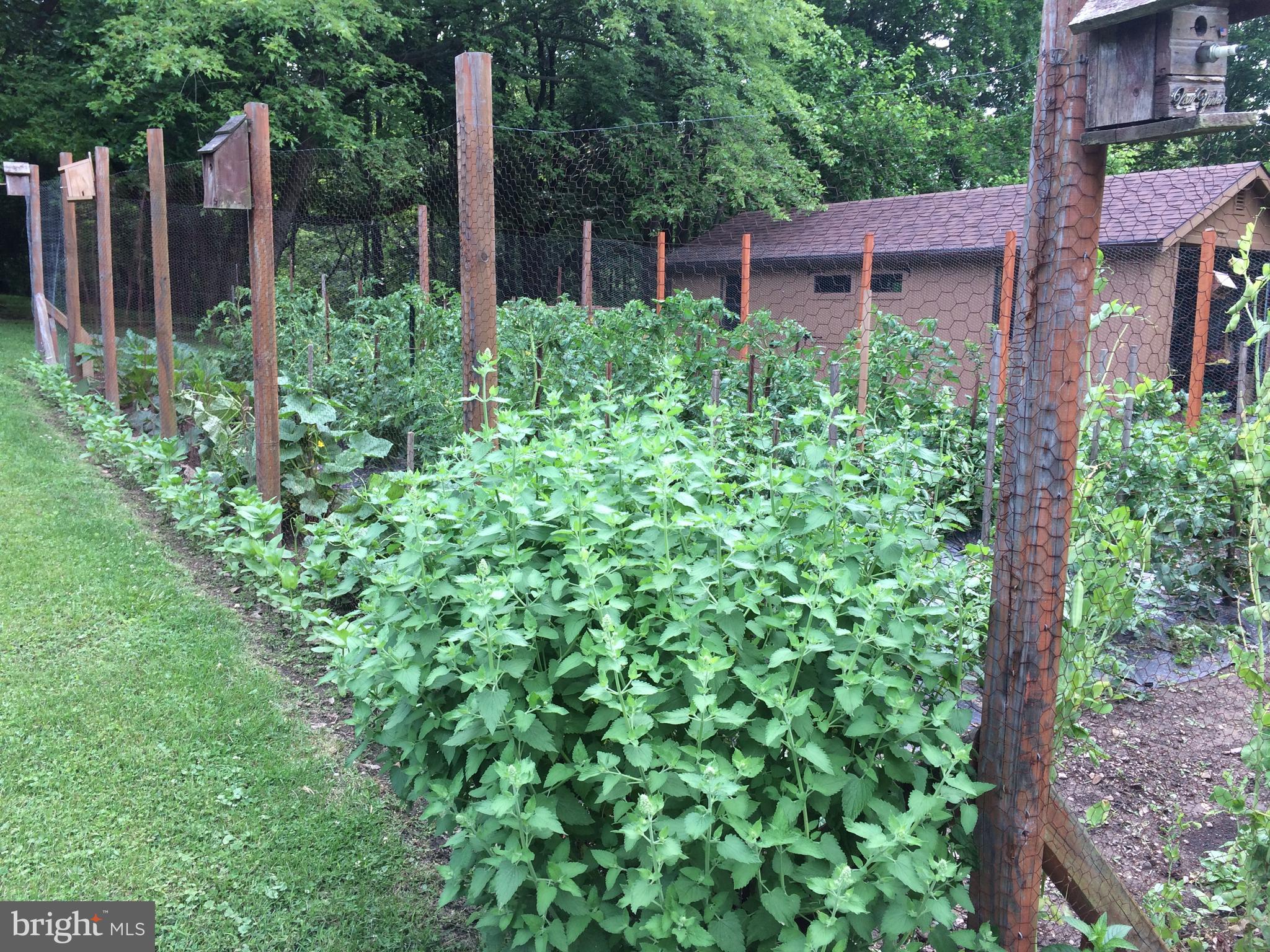 ELK RUN ESTATES - Residential