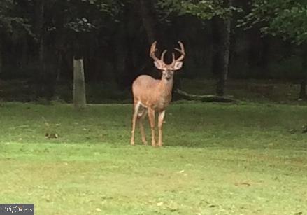 ELK RUN ESTATES - Residential