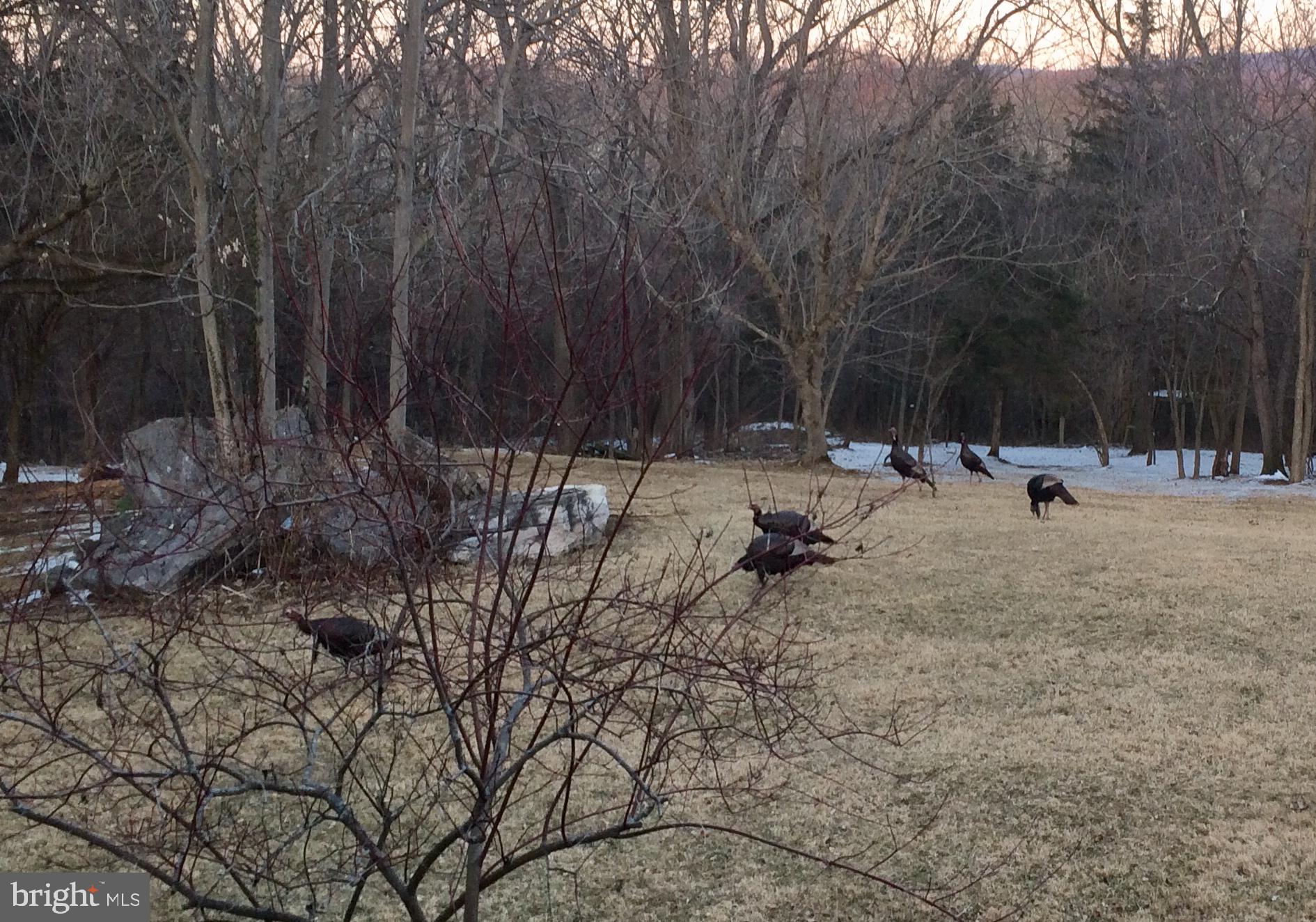 ELK RUN ESTATES - Residential