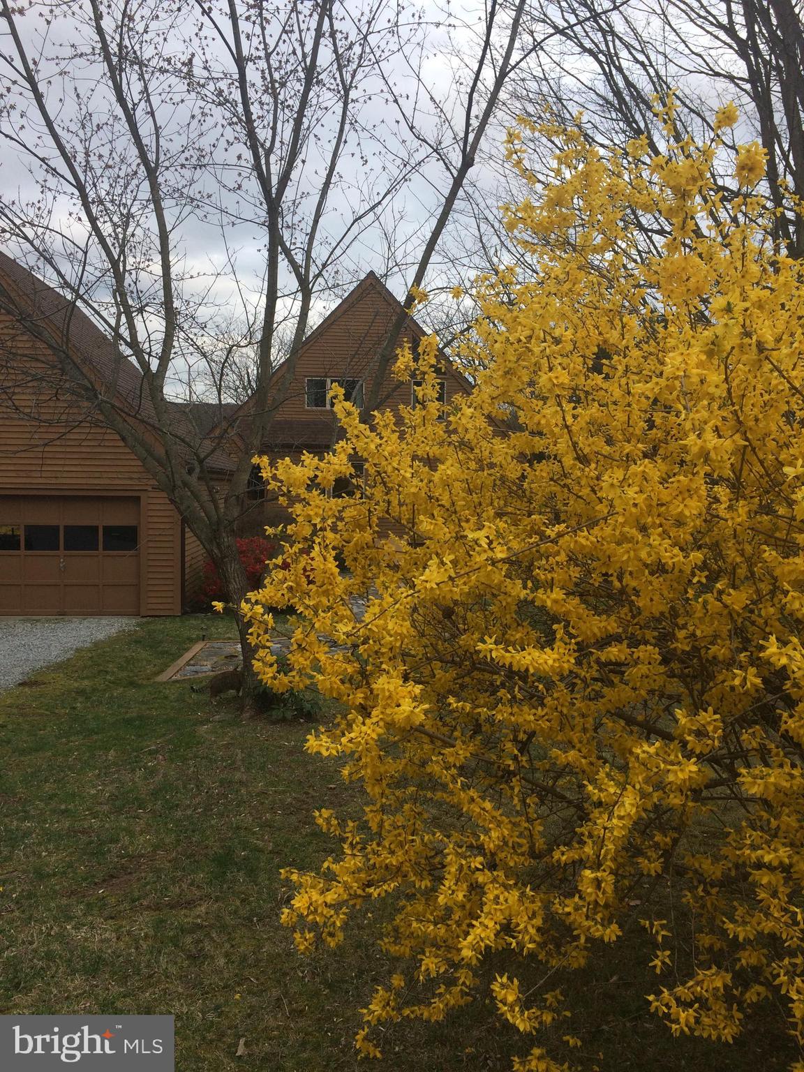 ELK RUN ESTATES - Residential