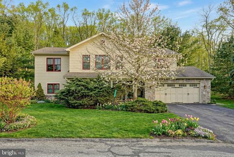 265 LONGVIEW DRIVE LAKE HARMONY PA 18624