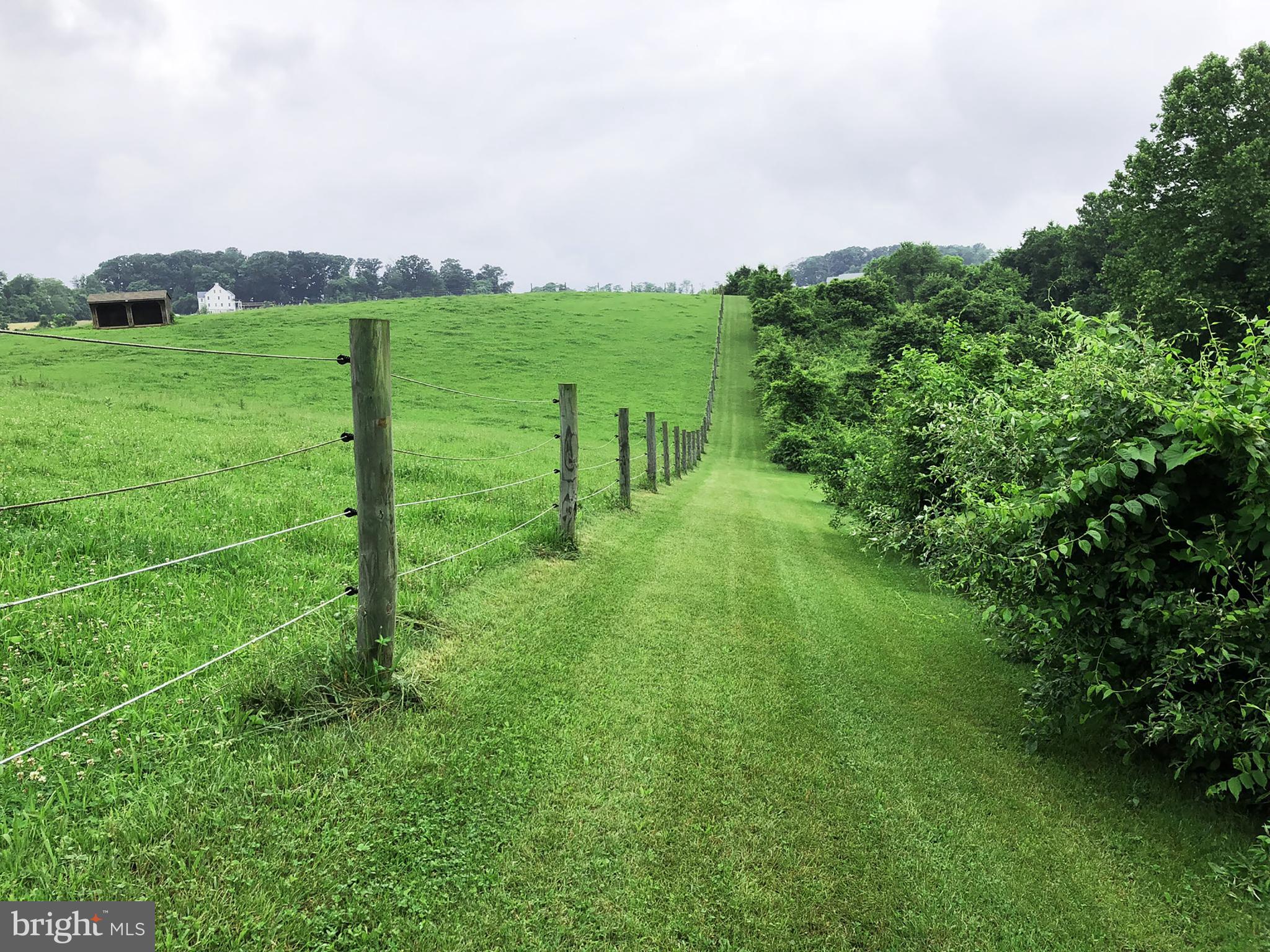 DAMASCUS OUTSIDE - Farm