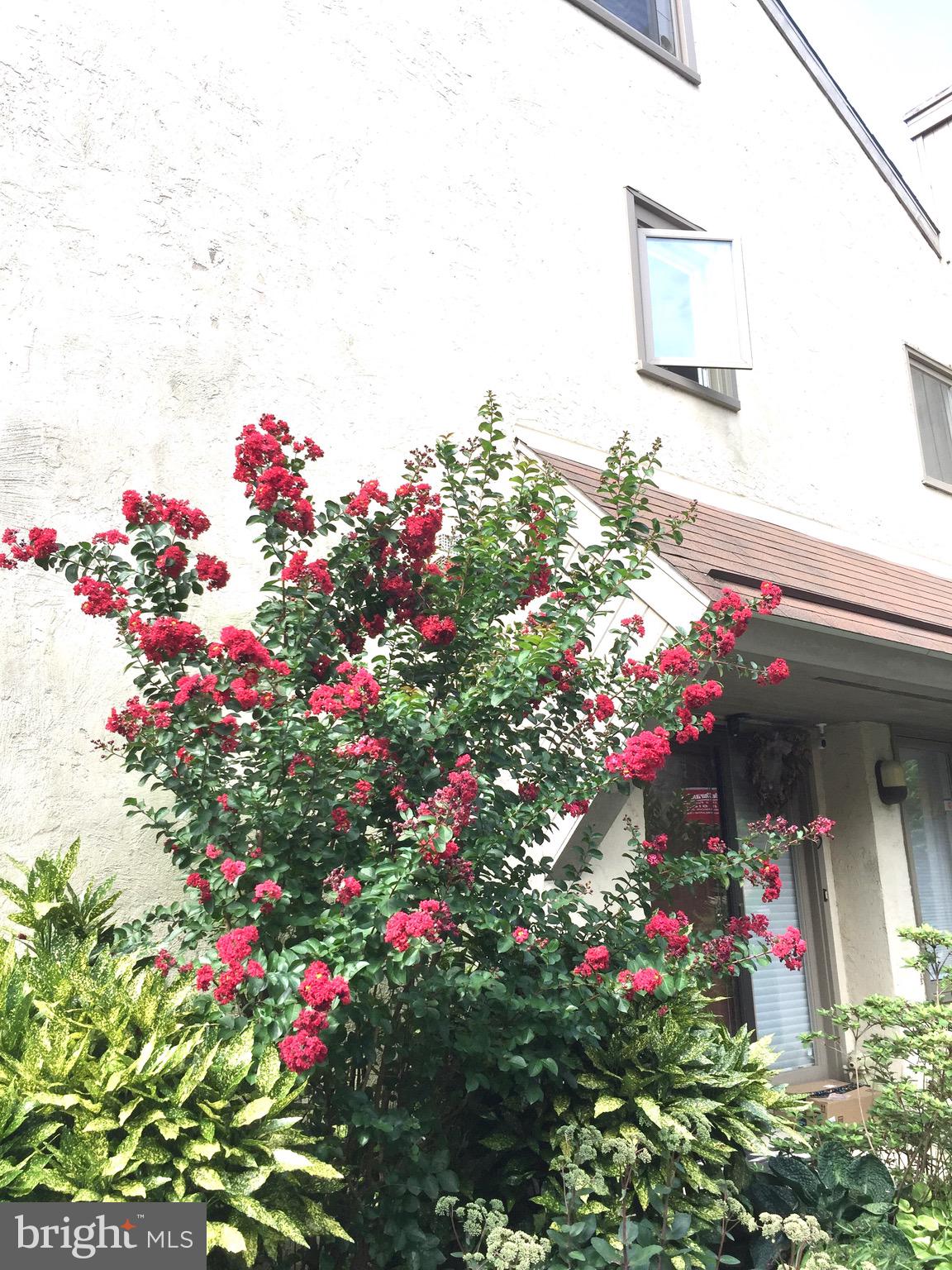 PENN WYNNE - Residential