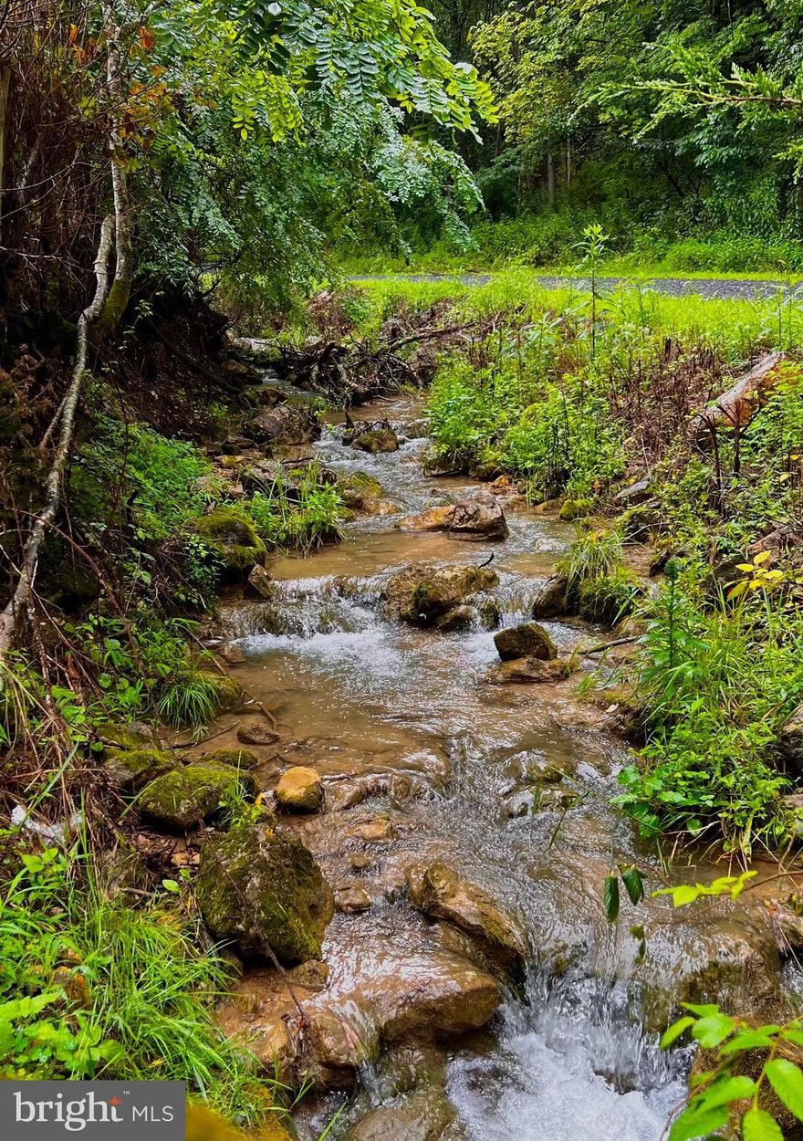 MORE PHOTOS COMING SOON — Tucked away on 10 private, unrestricted acres, this 1940s farmhouse offers the perfect mix of seclusion and potential. The home features 3 bedrooms, 2 bathroom, a private septic system, and a natural spring water source. Metal roof and windows were updated in 2021. 

The land is a true outdoorsman’s dream—hiking trails, ATV paths, and multiple potential building sites throughout. Whether you’re looking to finish the existing home or bring your own plans to build new, the options here are wide open. High-speed fiber optic internet is available.

Don’t miss this chance to create your own mountaintop retreat in Wild and Wonderful West Virginia.
