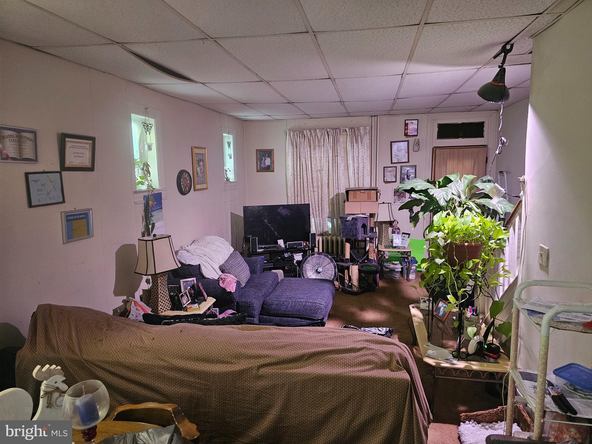 CHESTER HTS - Residential