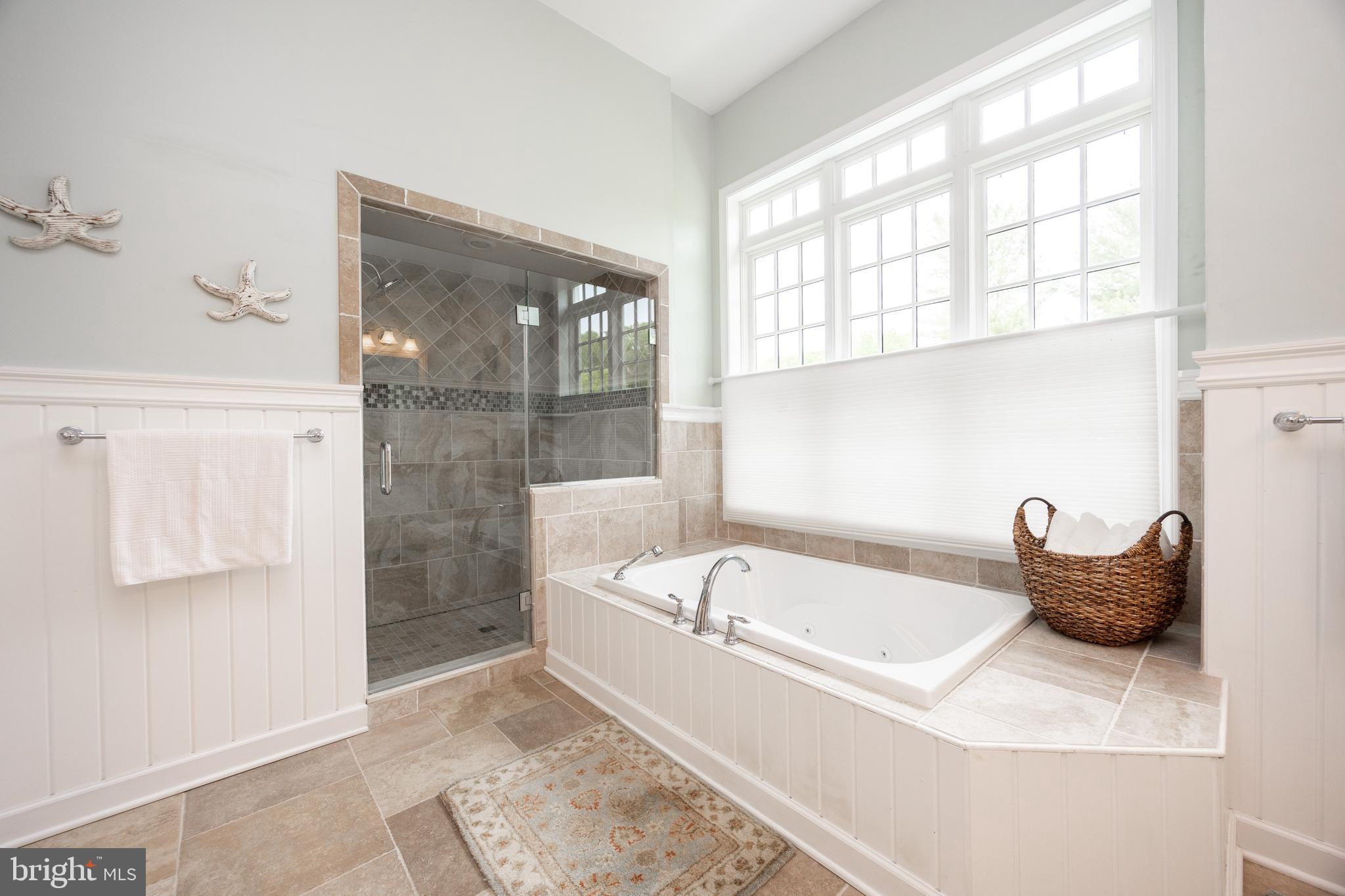 BRAMPTON CHASE - Residential