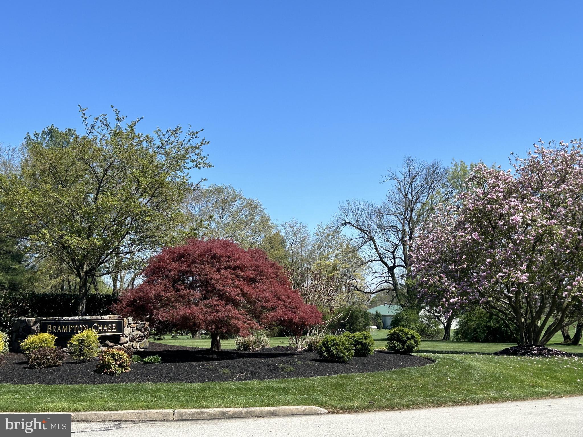 BRAMPTON CHASE - Residential