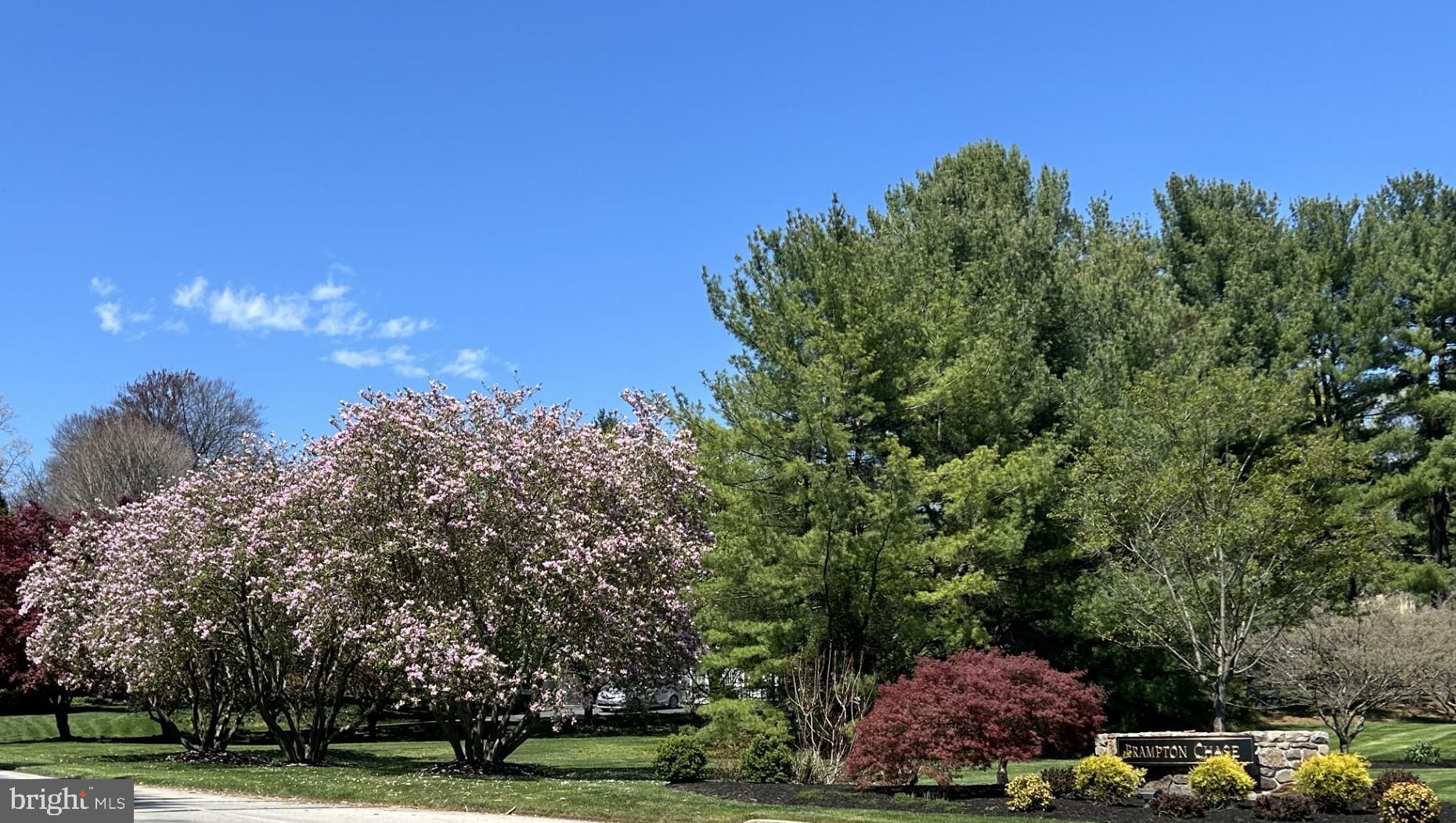 BRAMPTON CHASE - Residential