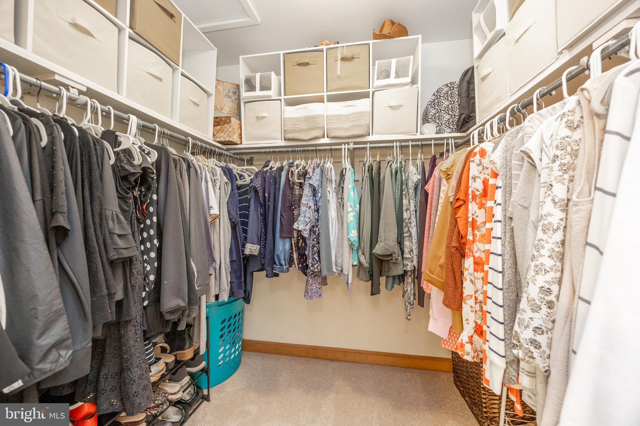 BRAMPTON CHASE - Residential