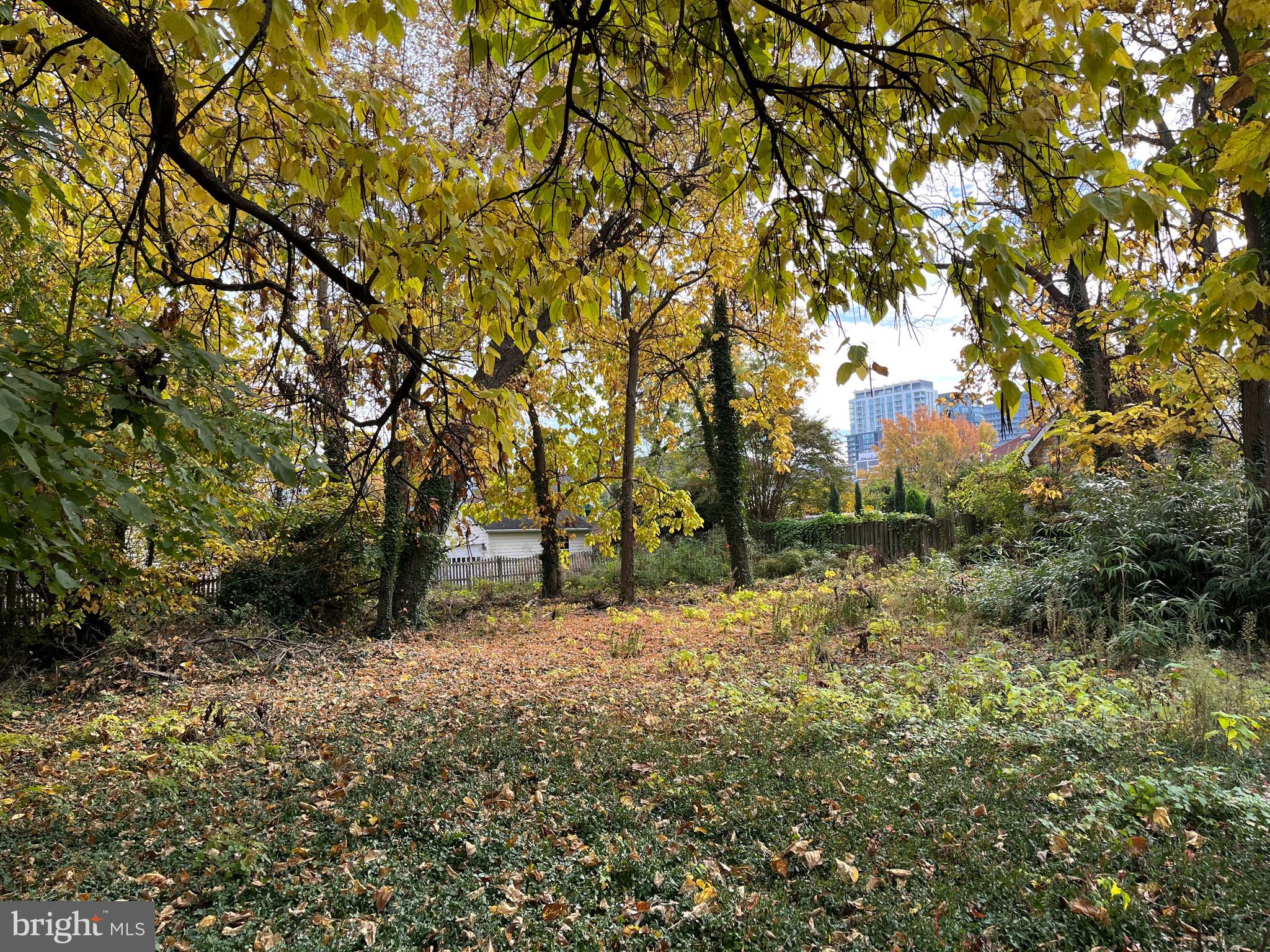 DAWSON TERRACE - Land