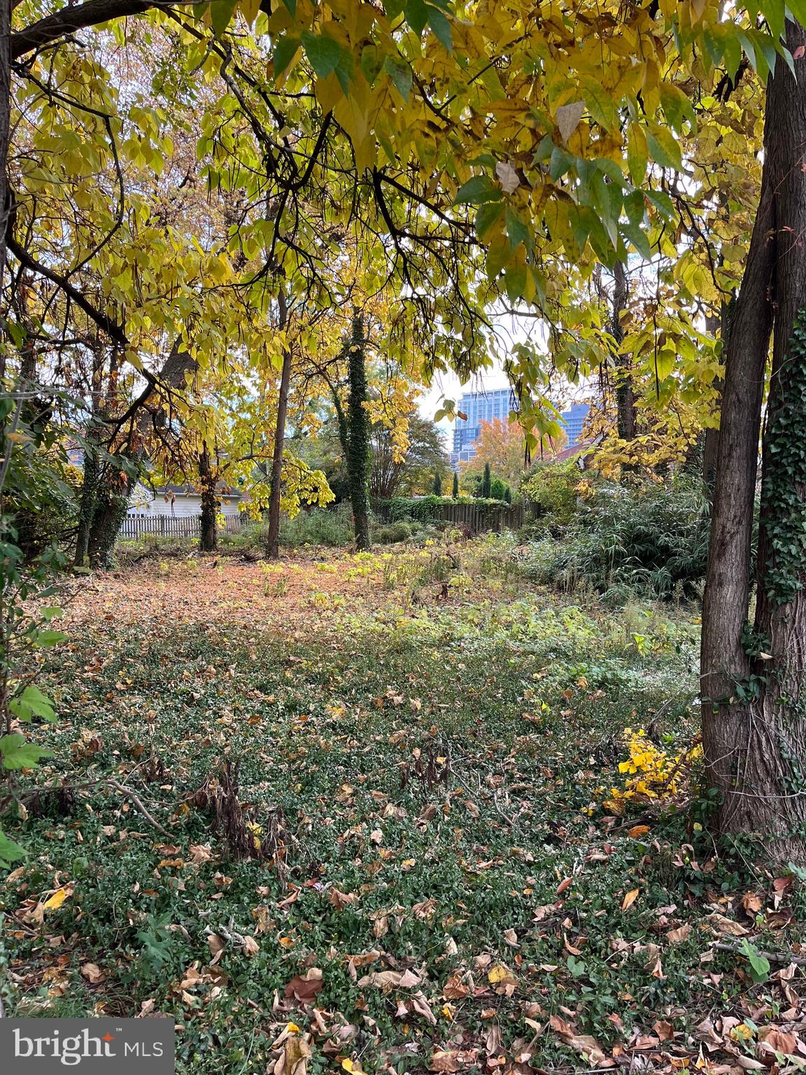 DAWSON TERRACE - Land