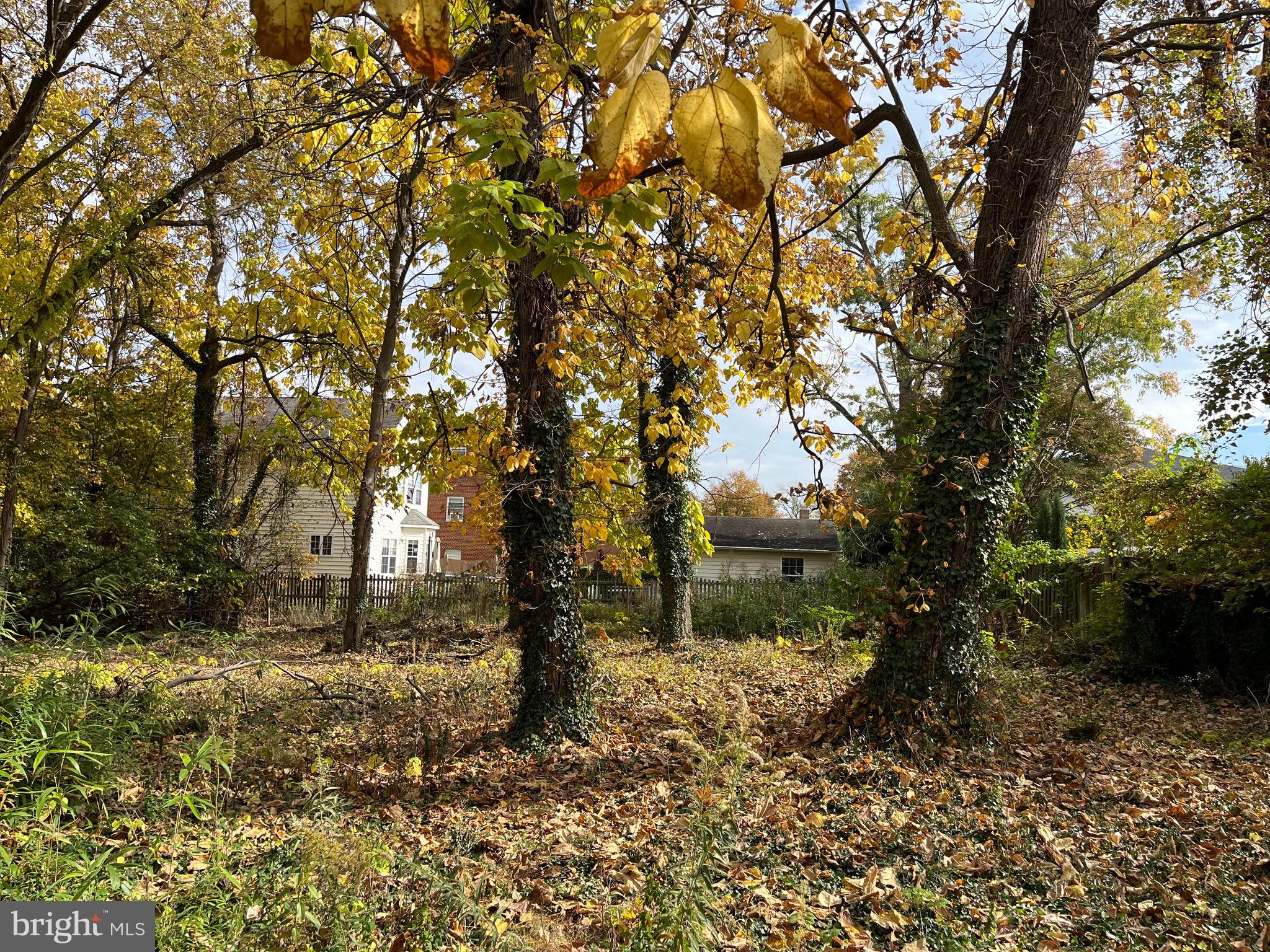 DAWSON TERRACE - Land