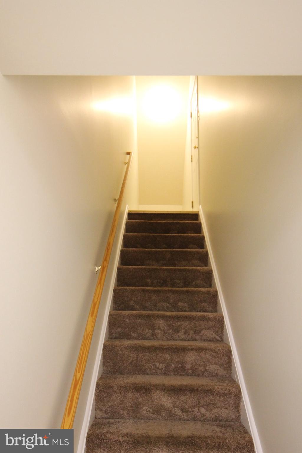 REGULARS - Residential Lease