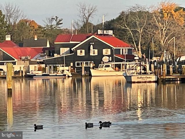 ST. MICHAELS - Residential