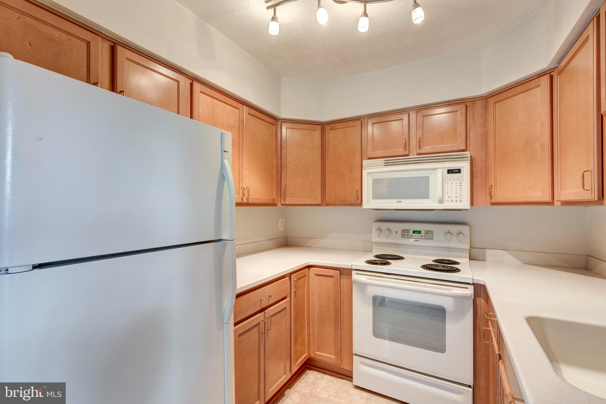 PINES AT DICKINSON CONDOMINIUM - Residential