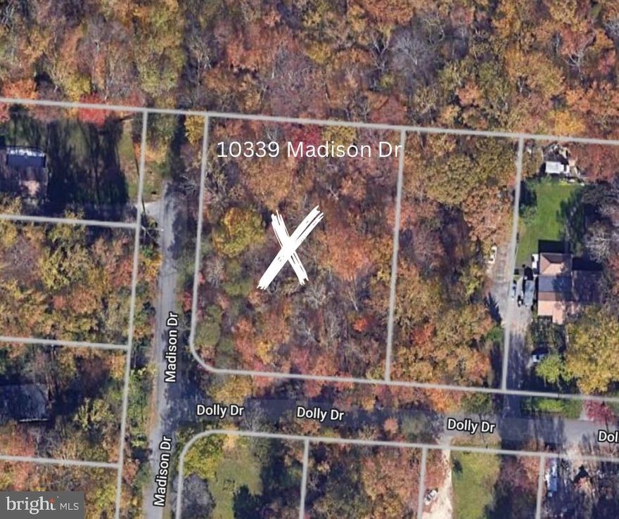 ***NEW 2024 tax assessment went up 100k, new assessment is now at 248k!!! Property is priced BELOW new assessment! Get in before prices increase!**
Own .81 acres in Lorton to build your dream home. This lot is perfectly located on the corner of Madison and Dolly with plenty of trees for privacy. Lot backs up to Mason Neck Park so you will never have to worry about development behind you. This quiet neighborhood has no HOA, only 18 miles from DC, close to parks, Potomac River, Interstate 95. 
Perc test accommodates a 3 bedroom home. Cert letter from Fairfax County has been completed. Current owners have a gravel driveway onto property off of Dolly. Don't miss out on your chance to build your home on the ONLY lot for sale in the neighborhood with privacy!