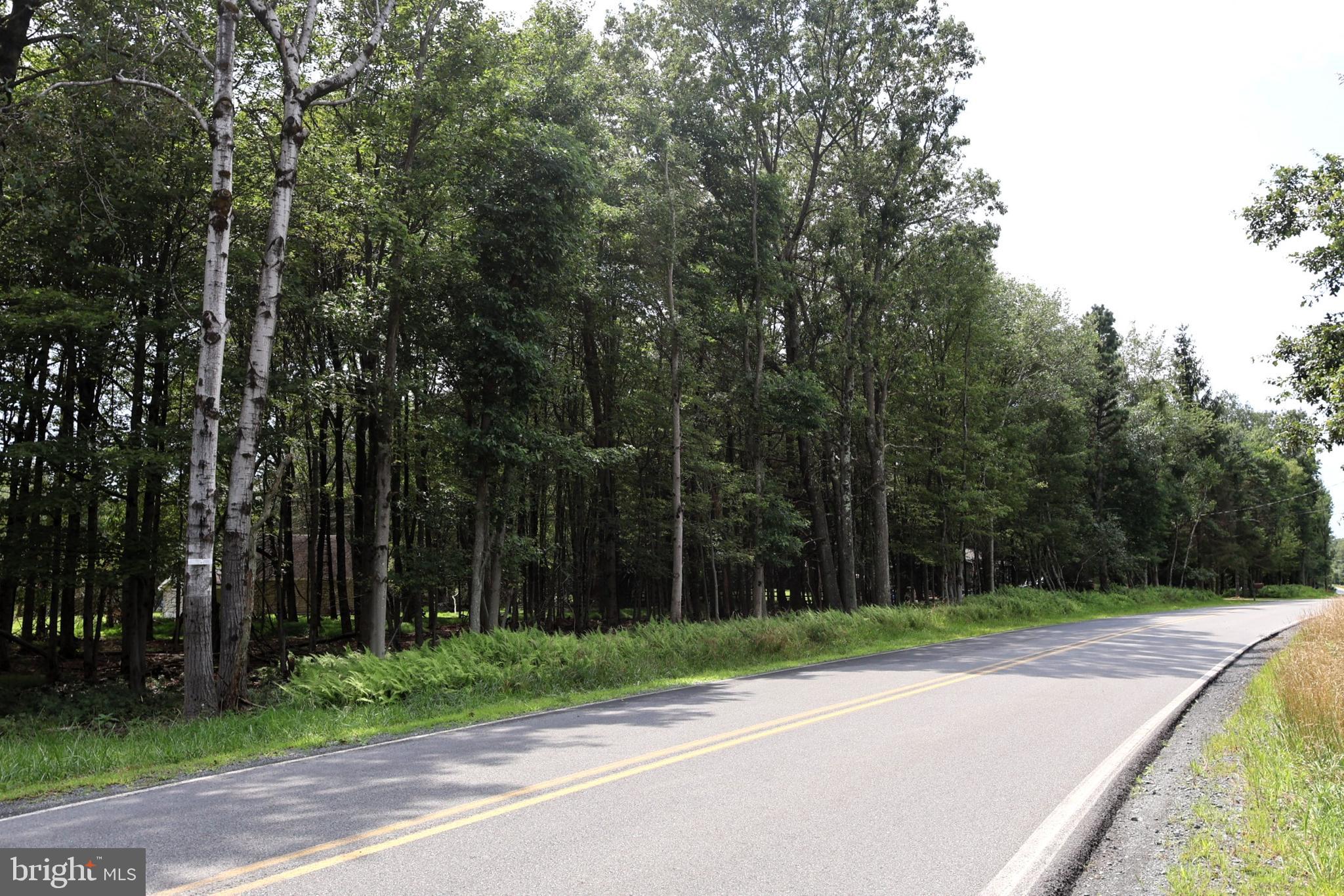 STONY MOUNTAIN ROAD 974V