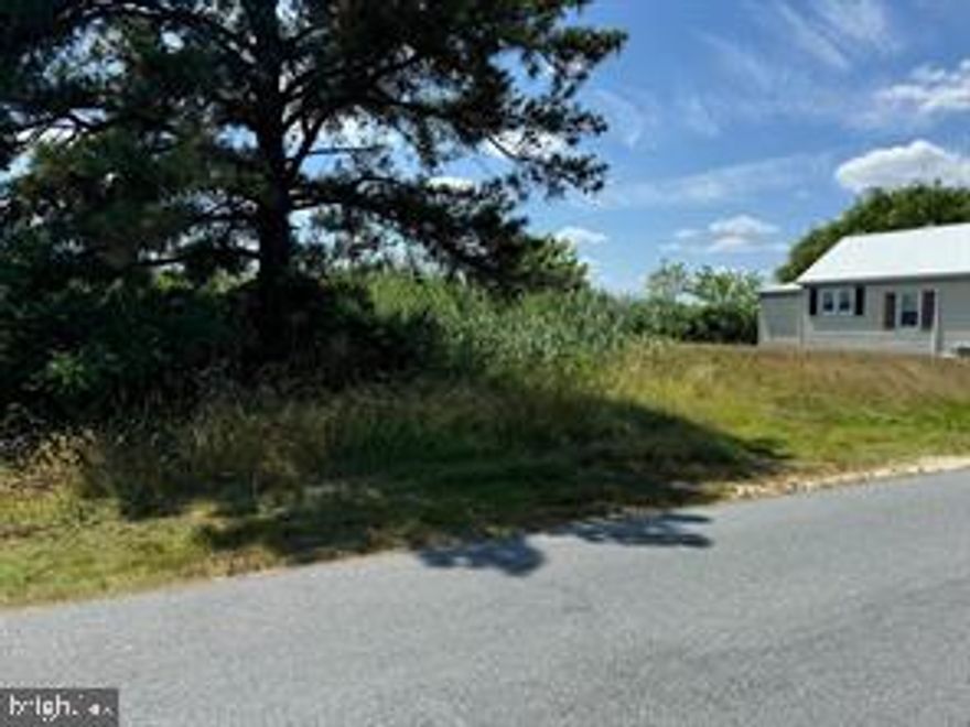 If you drive down this road you will see the potential for this lot. A few new construction homes show the possibilities. Buyer must do their own due diligence to determine if the lot will meet their needs, including any HOA fees and available utilities.