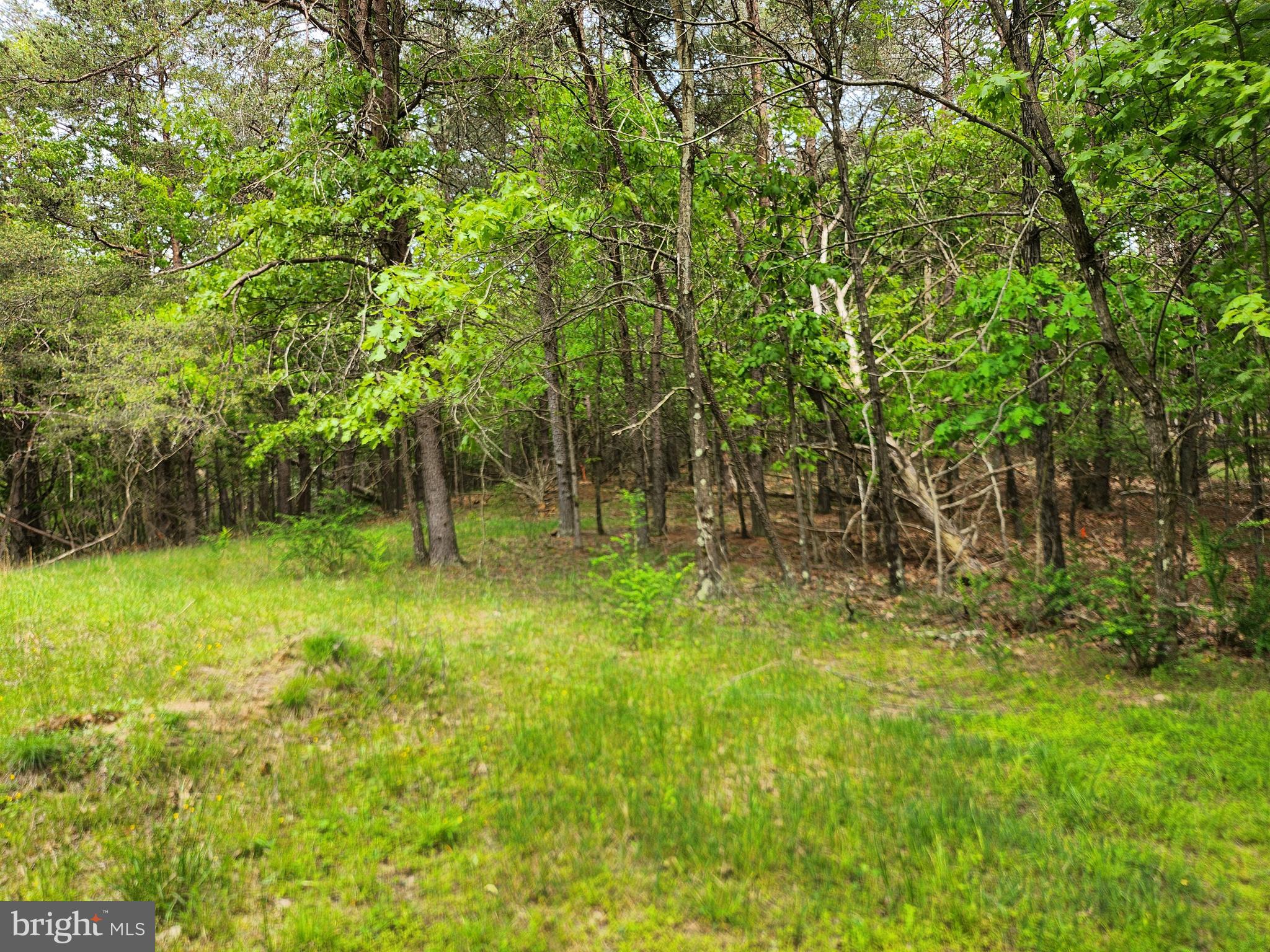 DEER SPRING WOODS - Land