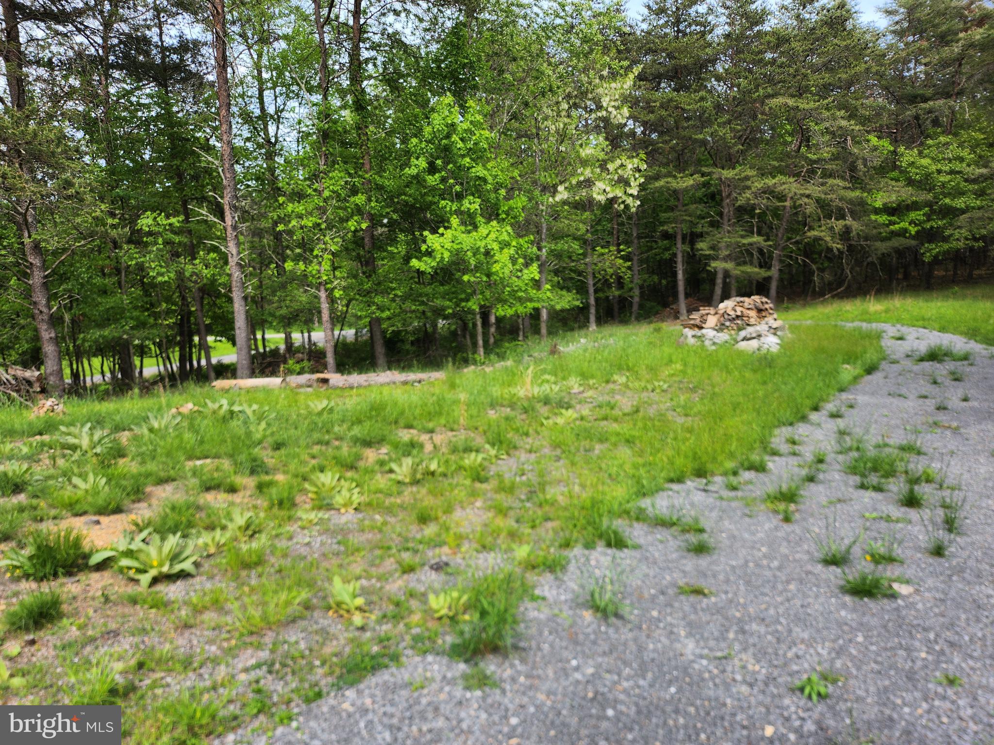 DEER SPRING WOODS - Land