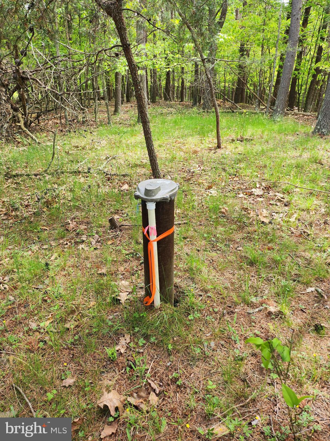 DEER SPRING WOODS - Land