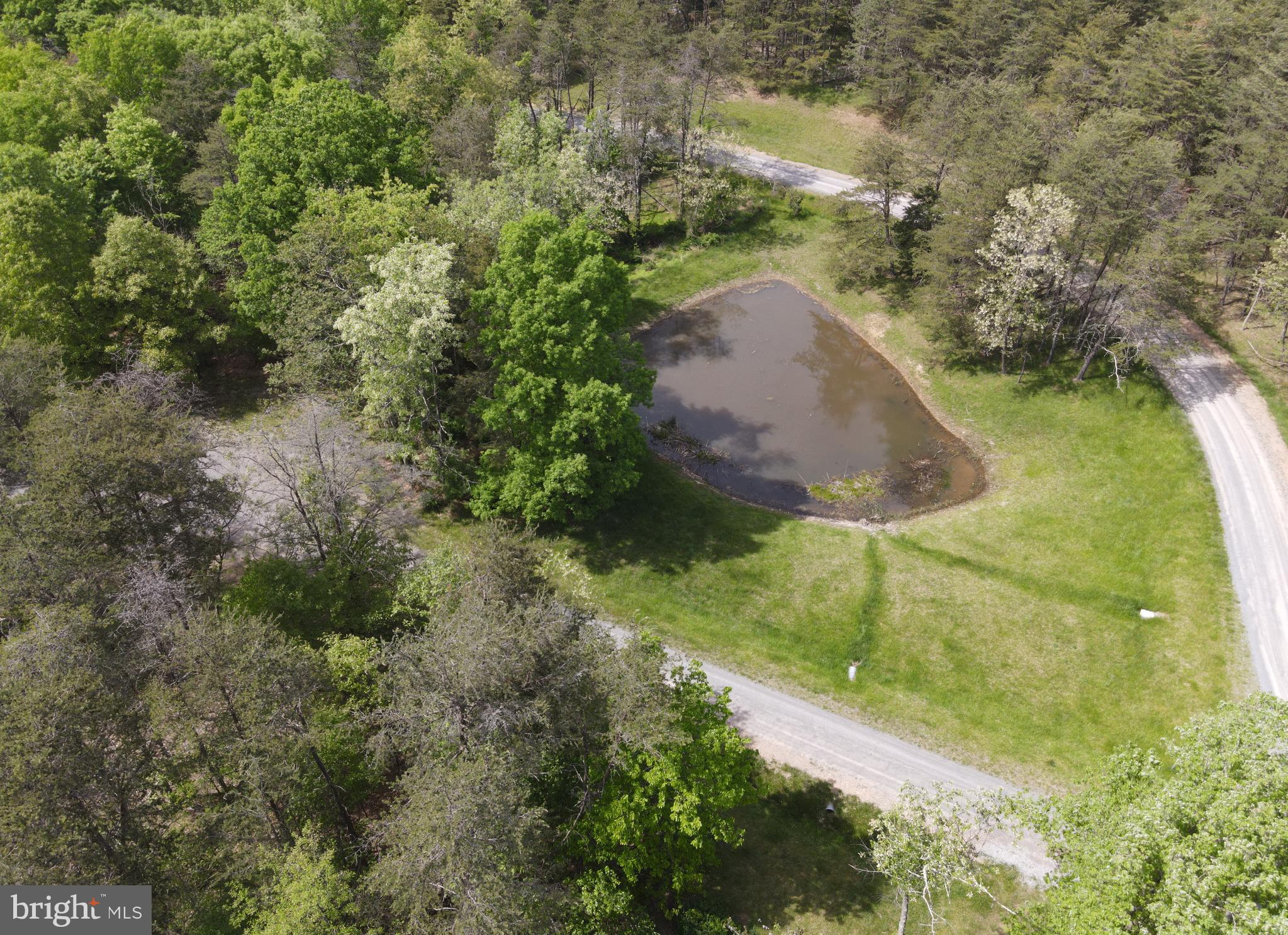 DEER SPRING WOODS - Land