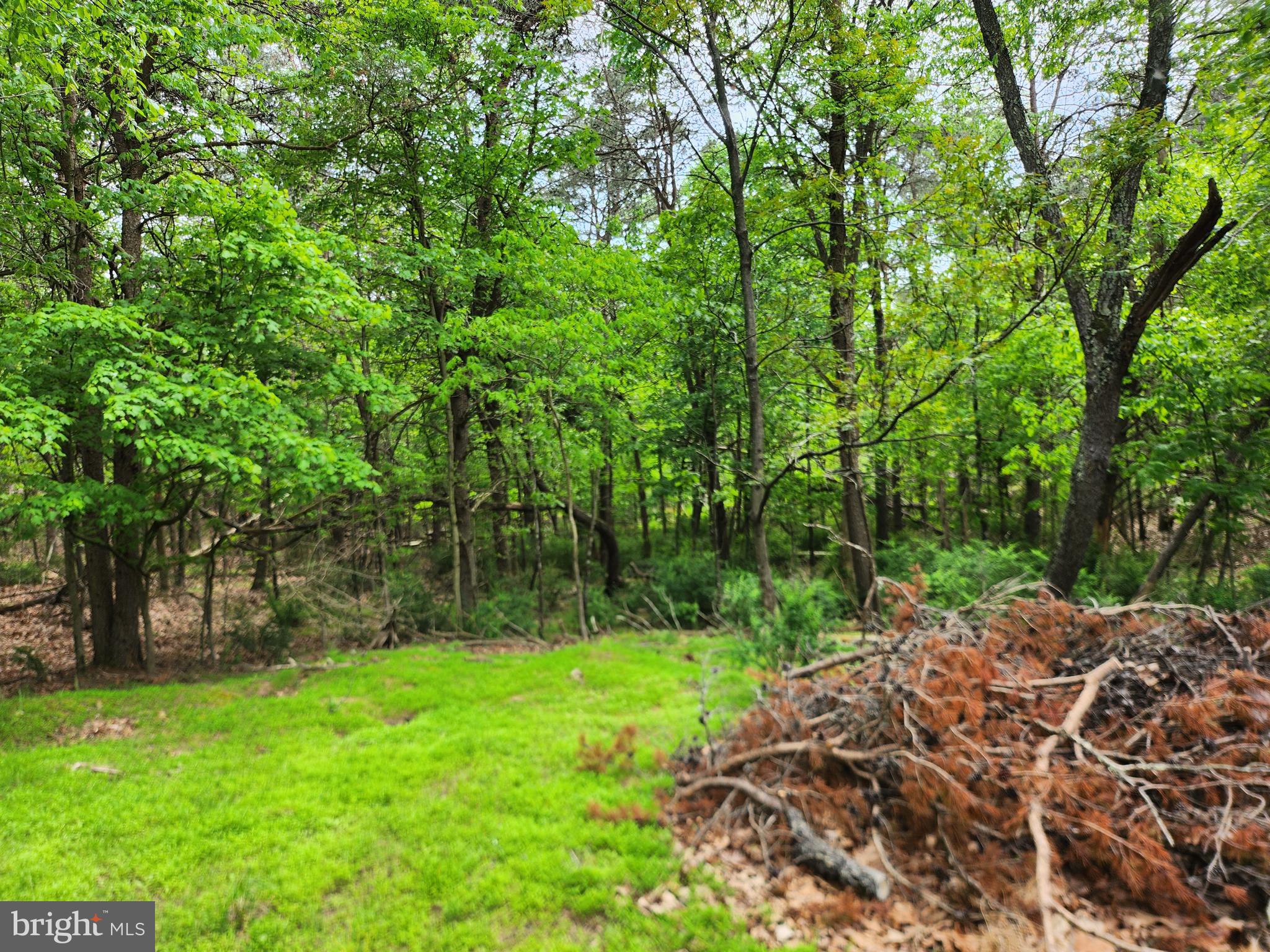 DEER SPRING WOODS - Land