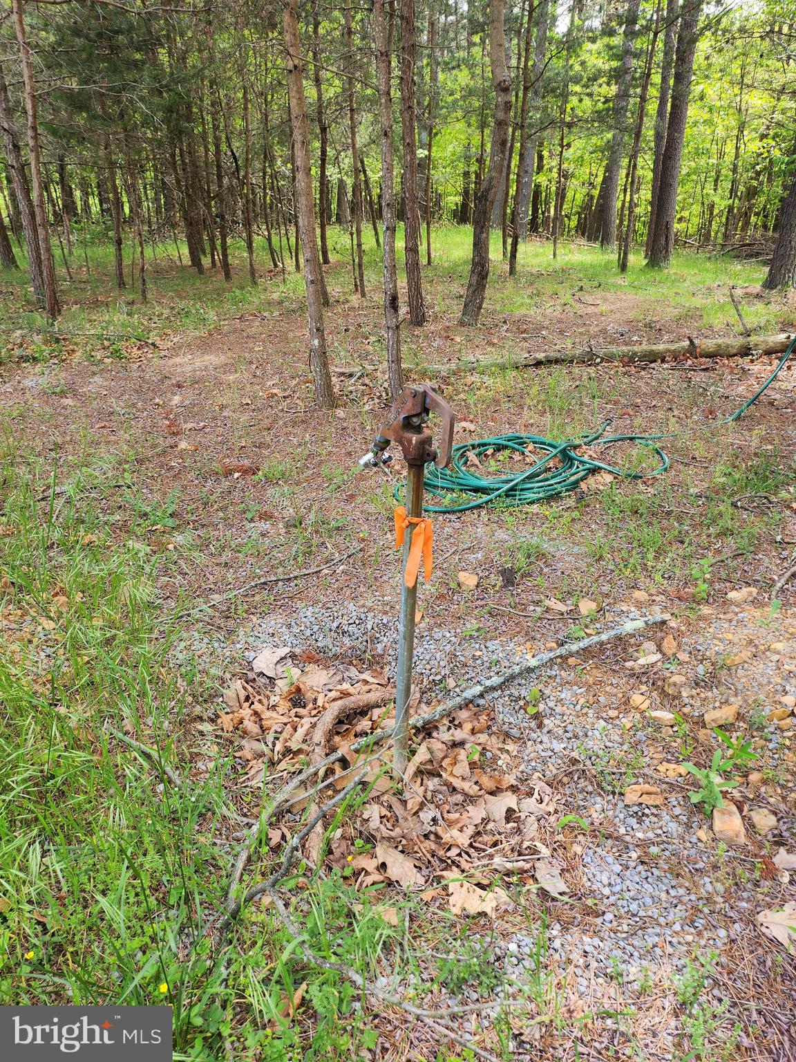 DEER SPRING WOODS - Land