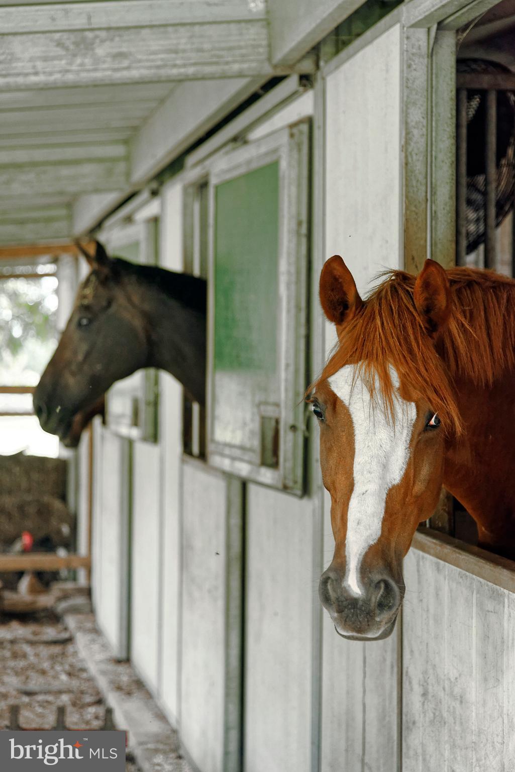 TROUGH HILL - Residential