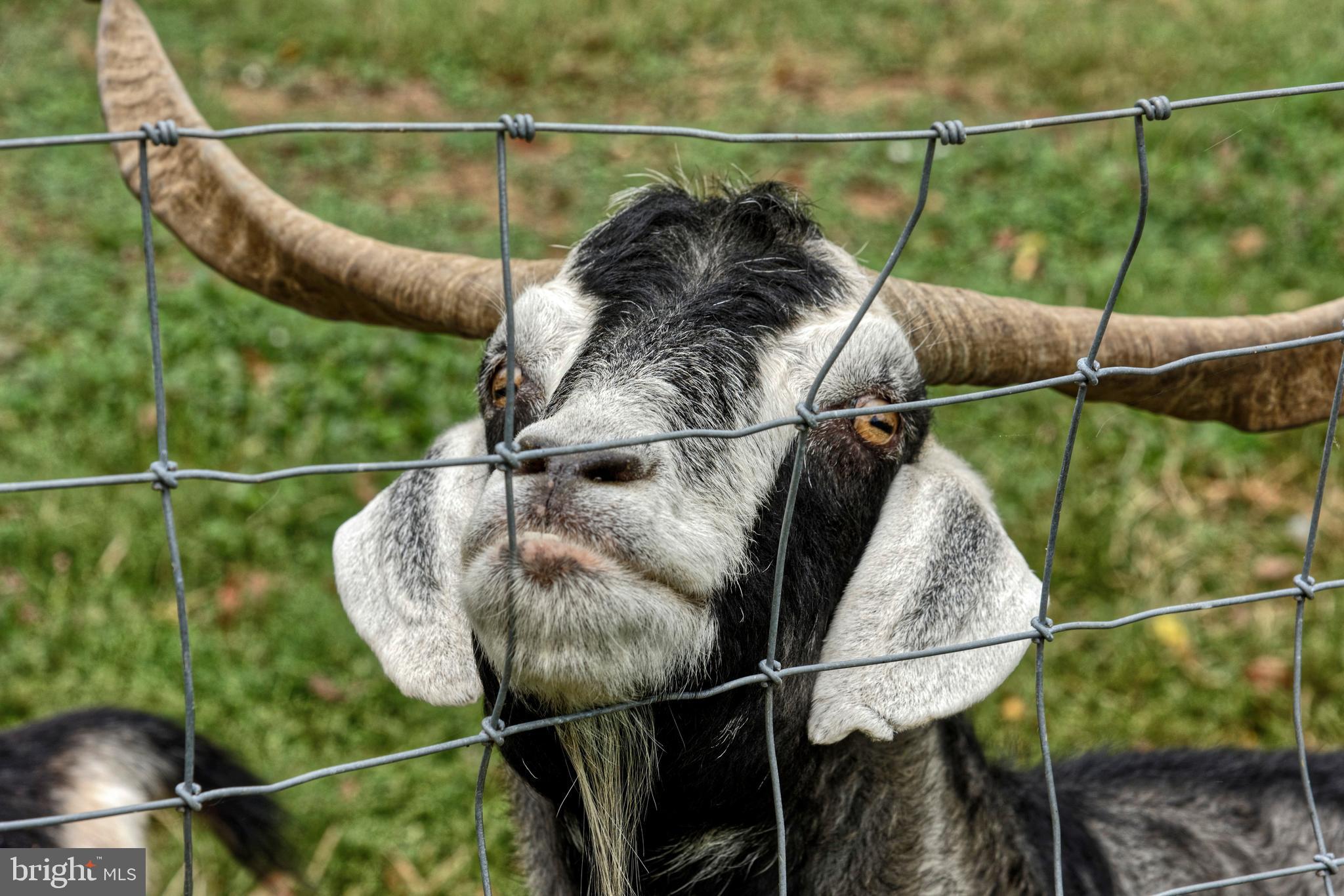 TROUGH HILL - Residential