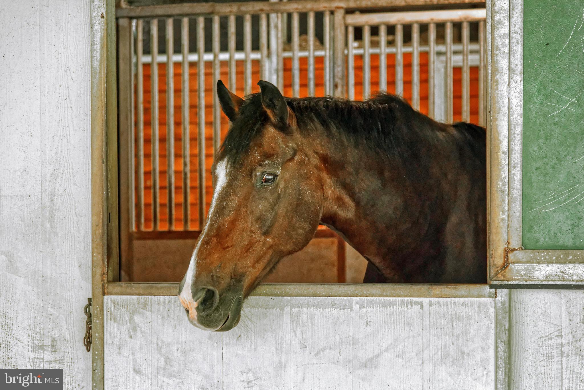 TROUGH HILL - Residential