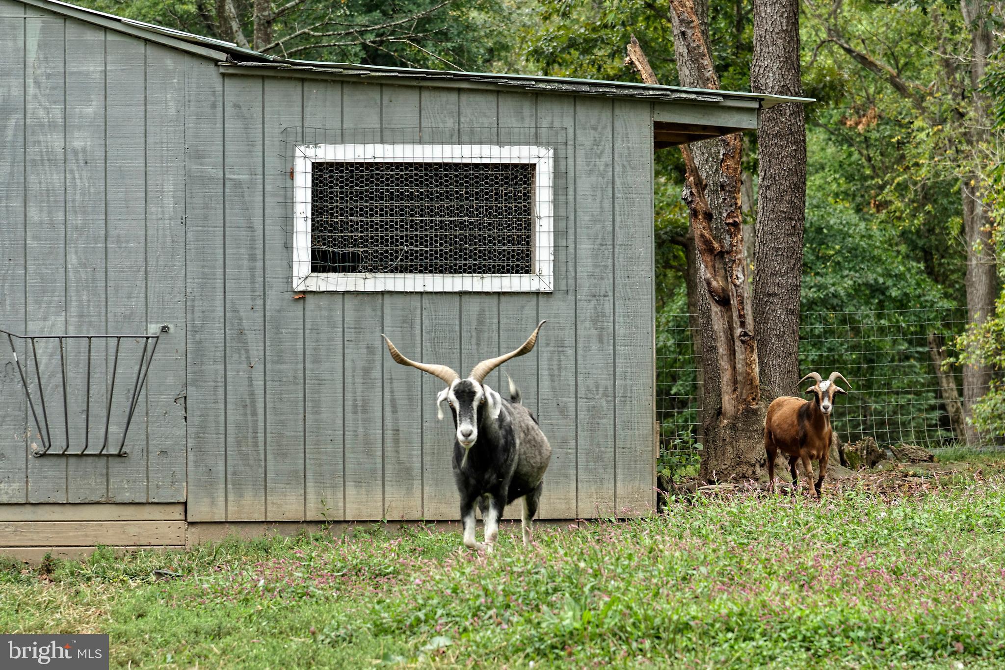 TROUGH HILL - Residential