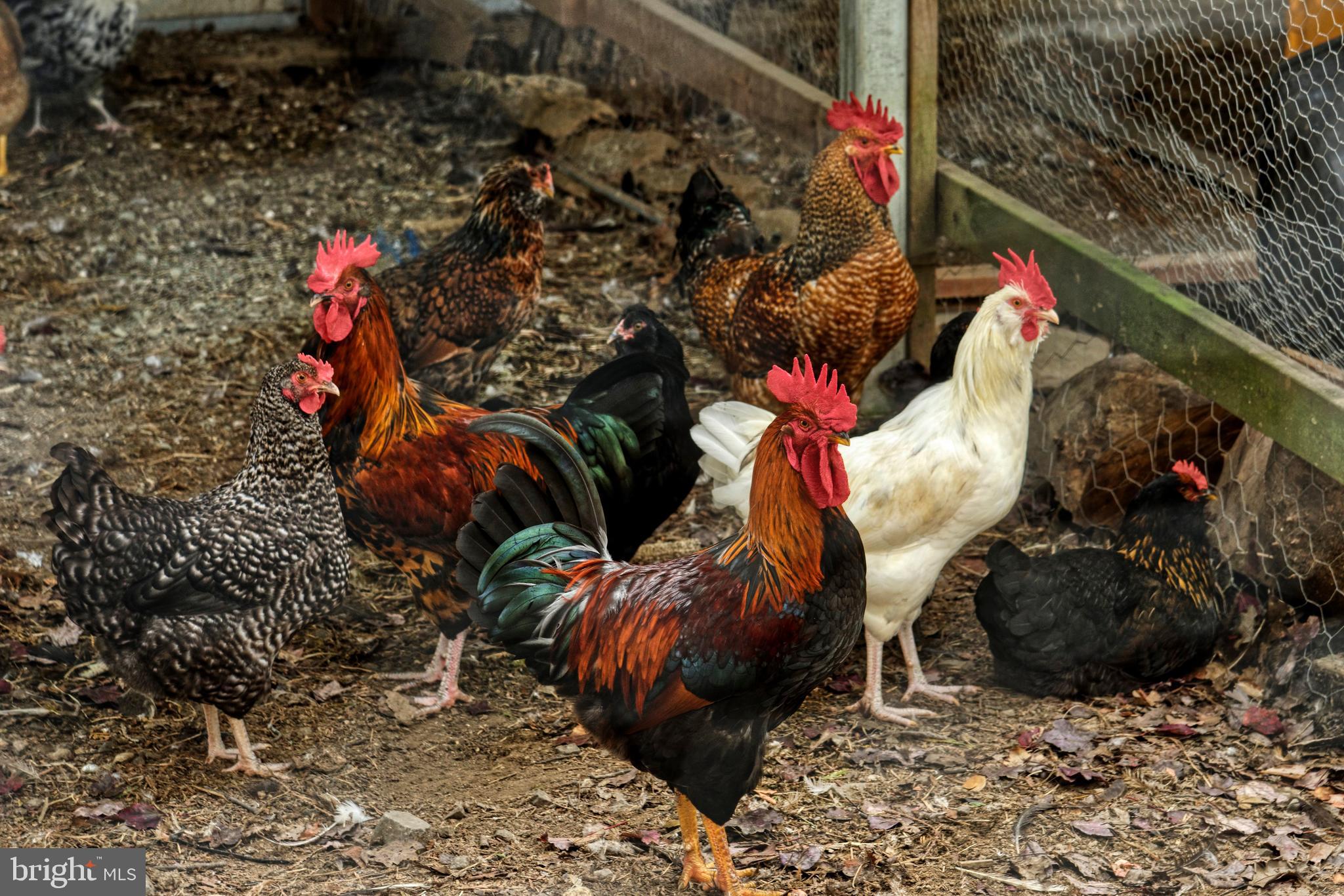 TROUGH HILL - Residential