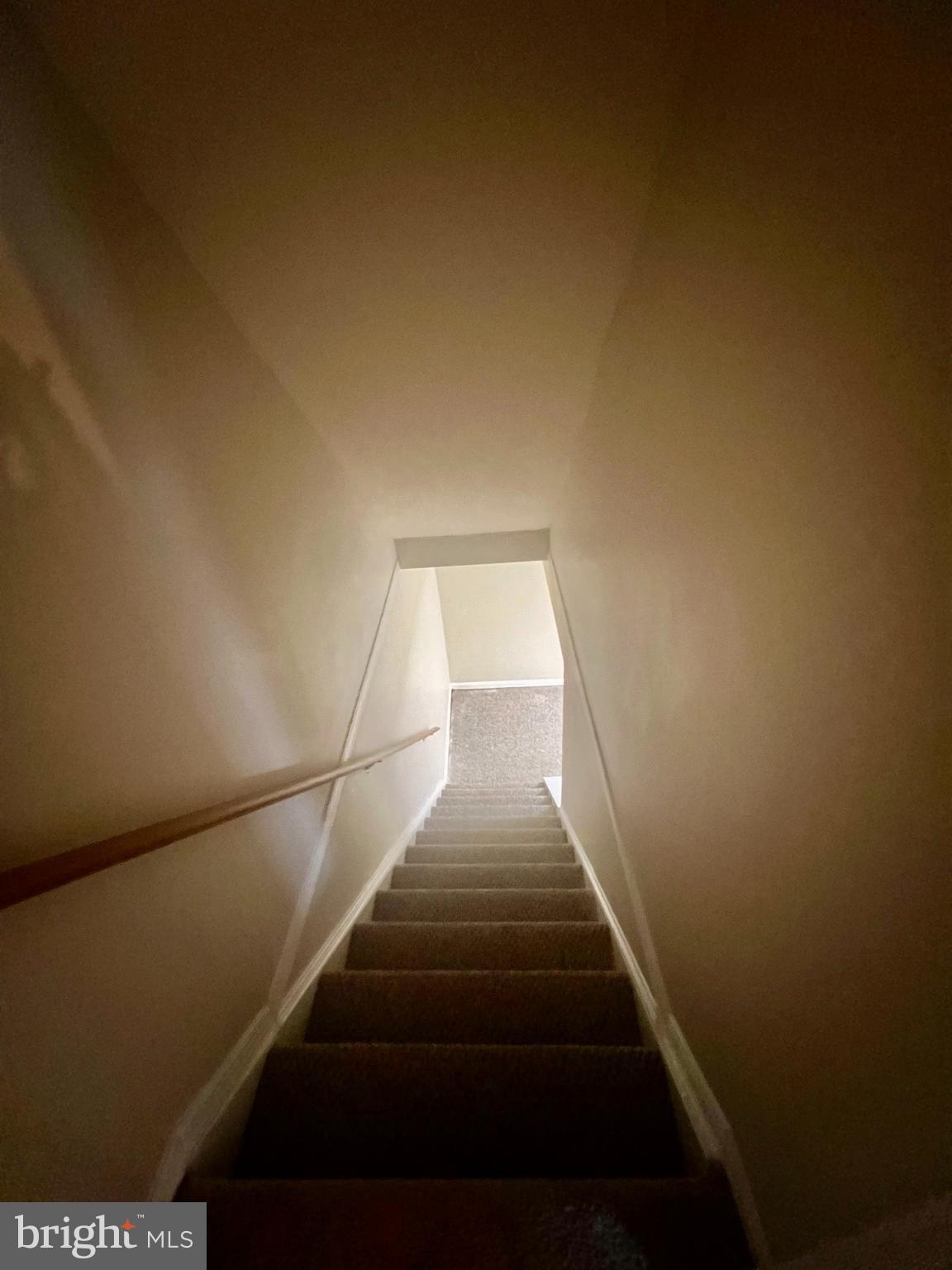 ELVATON TOWNE CONDO - Residential