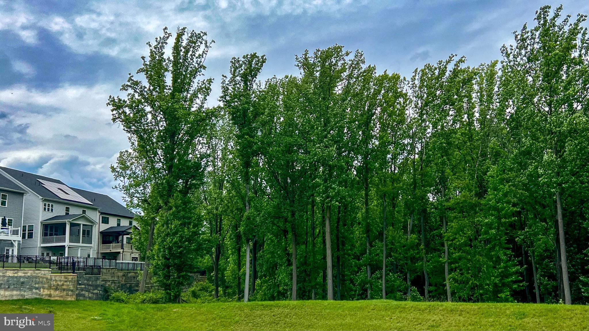 CABIN BRANCH - Residential Lease