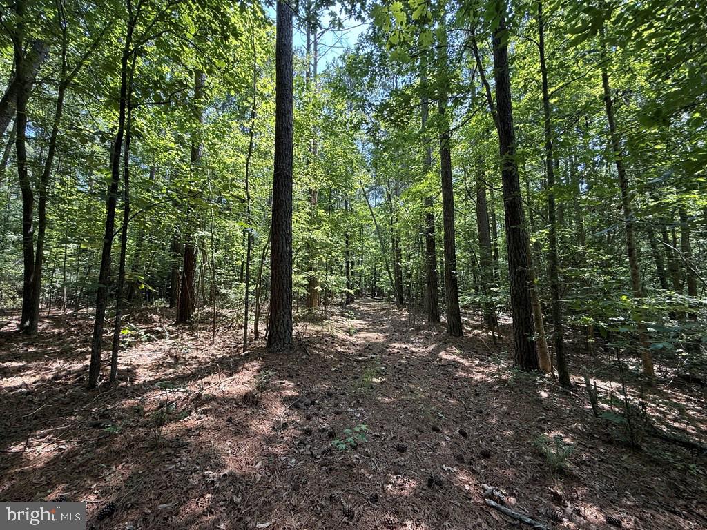 Lots 37, 38, 39 FIELD TRAIL ROAD