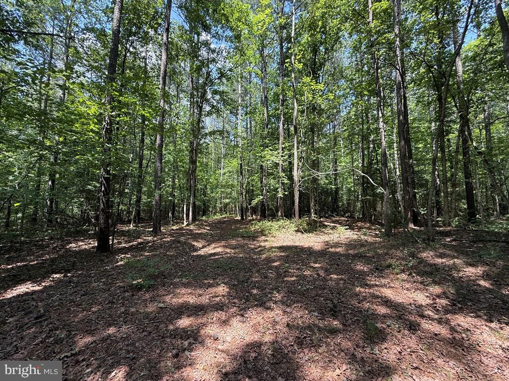 Lots 37, 38, 39 FIELD TRAIL ROAD