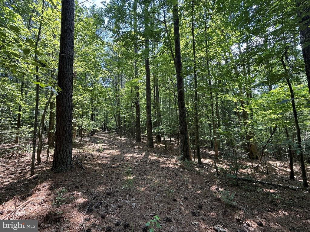 Lots 37, 38, 39 FIELD TRAIL ROAD