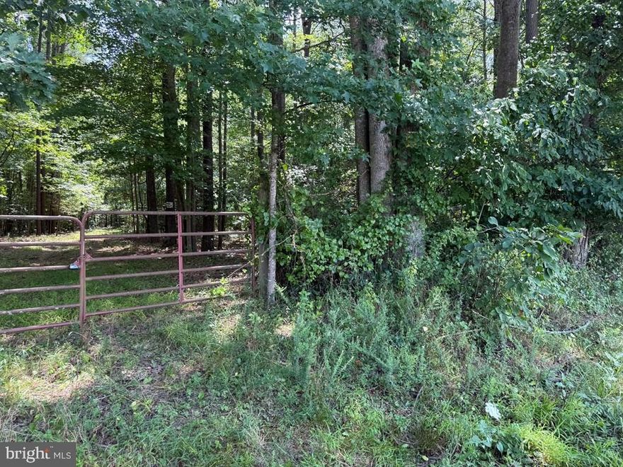 Fantastic area to build your dream home on three very private parcels equaling 55.456 acres in a rural, wooded and serene area. Not far to Kilmarnock and nearby is Belle Isle State Park which has facilities and attractions for everyone.