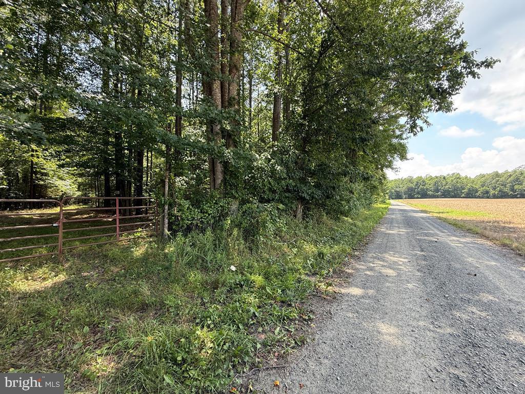 Lots 37, 38, 39 FIELD TRAIL ROAD