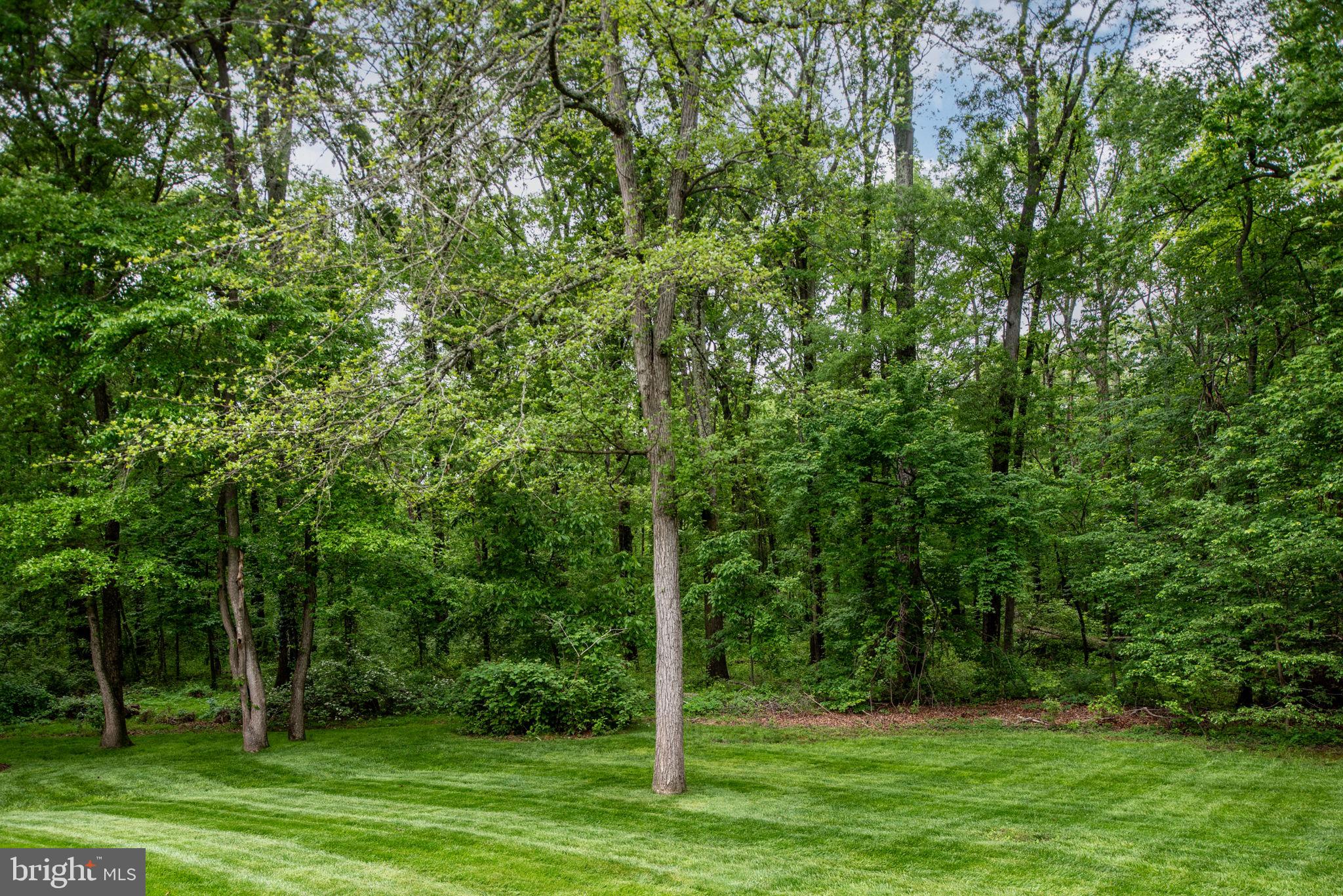 TIMOTHY PARK - Residential