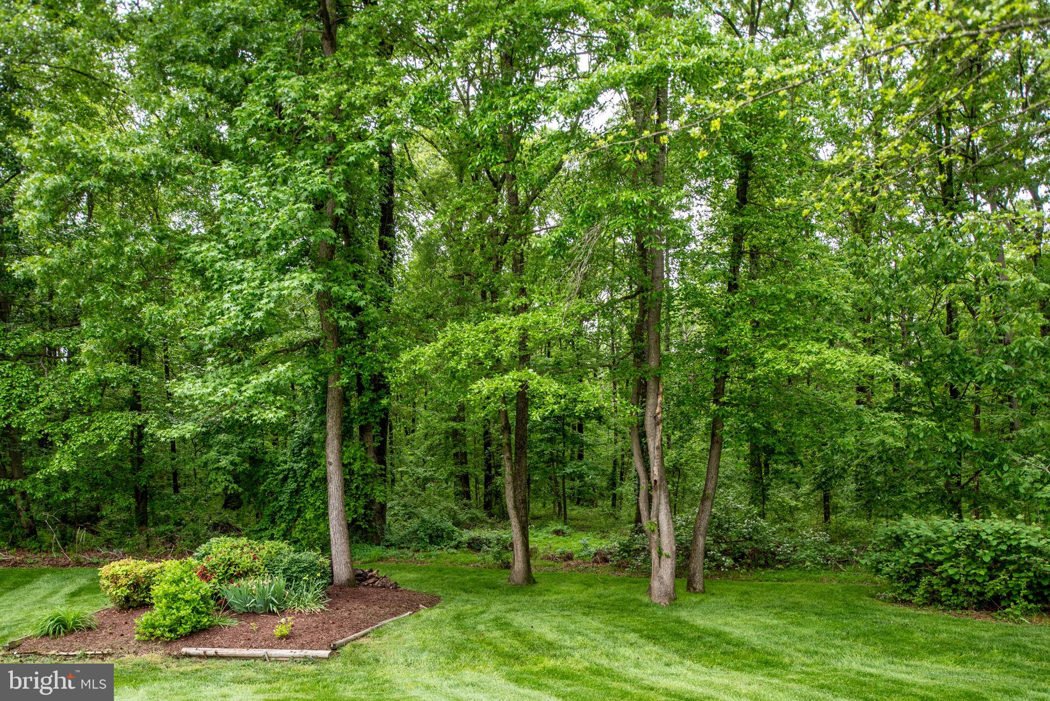 TIMOTHY PARK - Residential