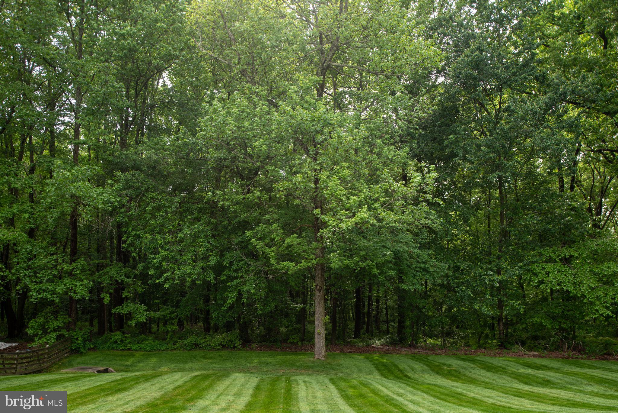 TIMOTHY PARK - Residential